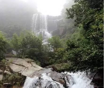 沪江开心词场